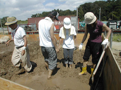 土練りワークショップ：秋田から運んだ土のゴミを取り除き新しい藁を入れて足で練る。